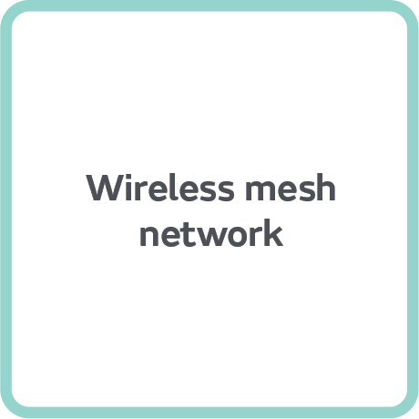Wireless mesh network